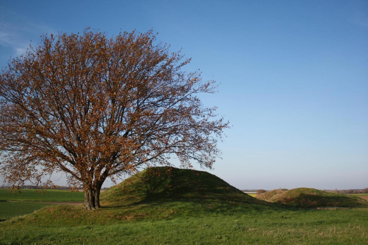 Hoeve Jadoul Gingelom Exterior foto
