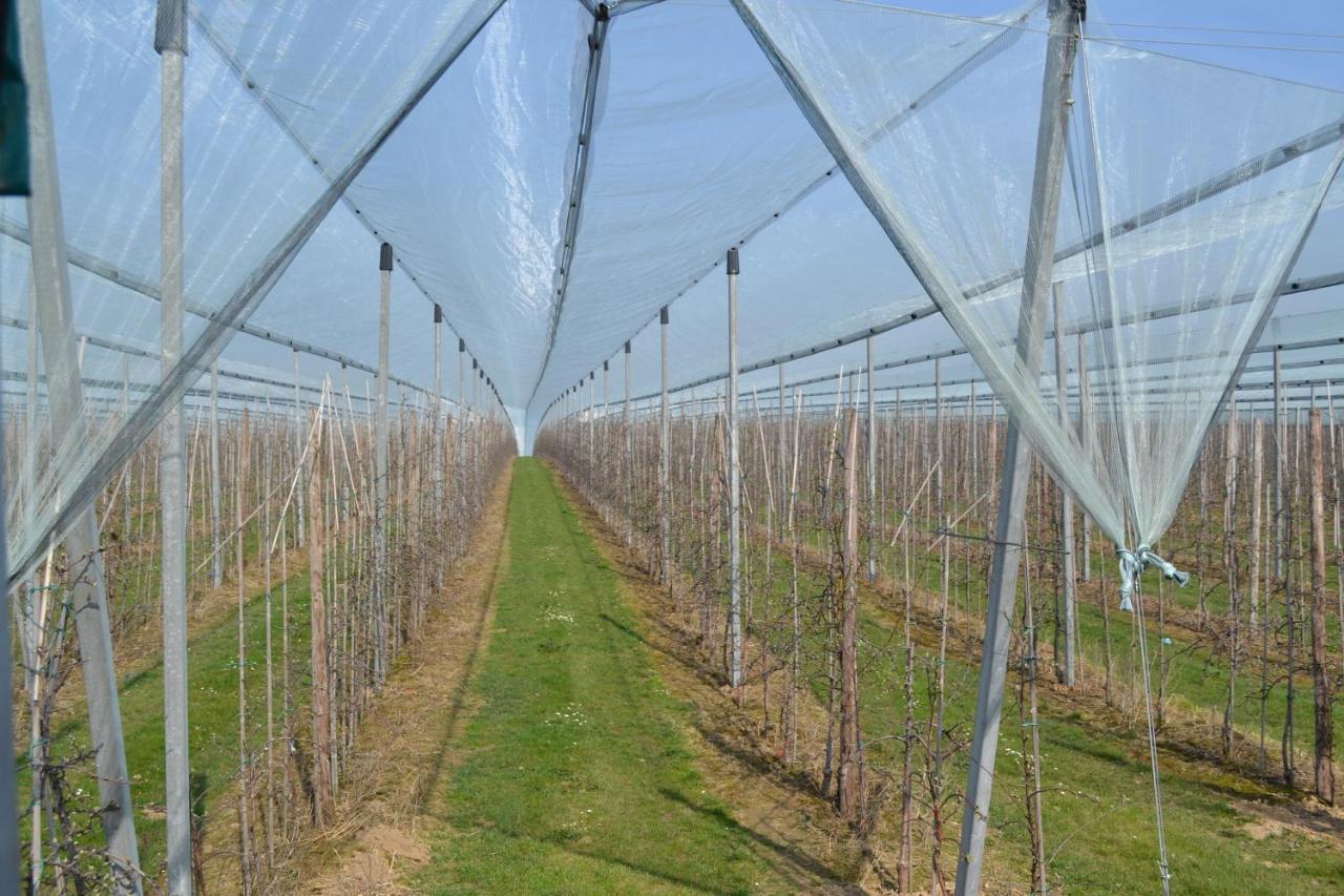 Hoeve Jadoul Gingelom Exterior foto